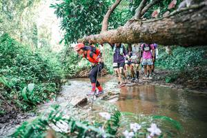 BIB: 
                            <button type="button" onclick="openModal(25517166)" class="btn btn-primary btn-sm float-right btn-popup" data-toggle="modal" data-target=".modal-high-quality">
                        <i class="fas fa-shopping-cart"></i> Add to Cart
                    </button>
                                            <button type="button" onclick="isThisMe(25517166, true)" class="btn btn-success btn-sm float-right btn-popup btn-isme hidden" data-toggle="tooltip" data-placement="bottom" title="นี่คือรูปของคุณใช่ไหม คลิกที่นี่เพื่อเอาเข้าอัลบั้ม">
                        <i class="fas fa-plus"></i> Add to album
                    </button>
                    <button type="button" onclick="isThisMe(25517166, false)" class="btn btn-warning btn-sm float-right btn-popup btn-isnotme hidden">
                        <i class="fas fa-ban"></i> Remove from album
                    </button>